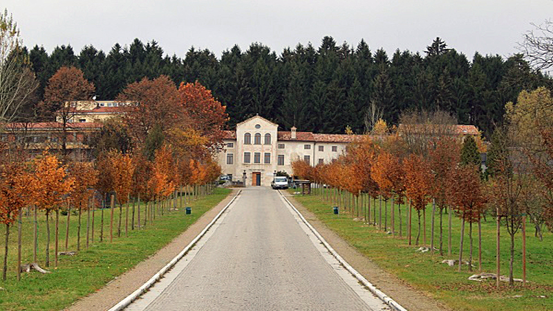 Scuola autunno